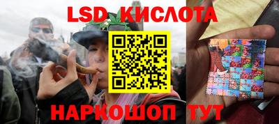 Альфа ПВП Новозыбков