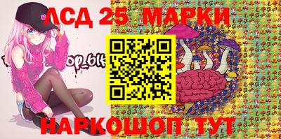 Альфа ПВП Новозыбков