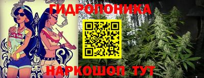 ешки Новокубанск