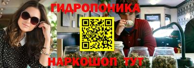 стафф Новодвинск